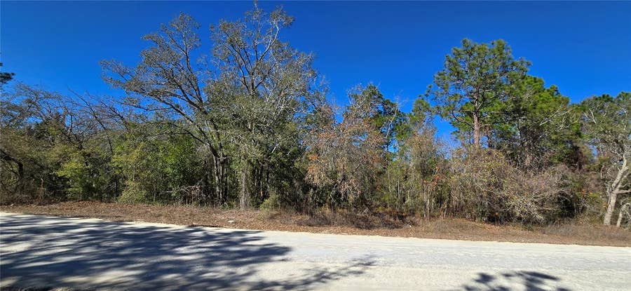 Property photo for 13231 ROAD RUNNER AVENUE, Weeki Wachee, FL