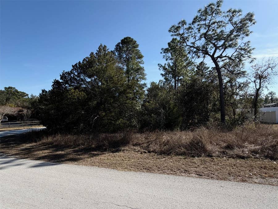 Property photo for 0 GYRAFALCON AVENUE, Weeki Wachee, FL