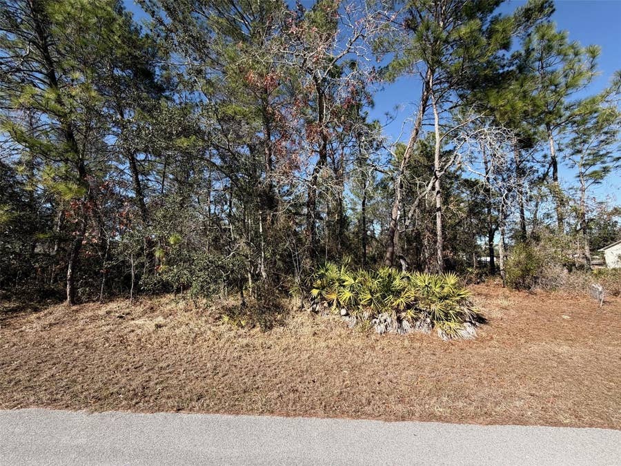 Property photo for 0 FOOL DUCK AVENUE, Weeki Wachee, FL
