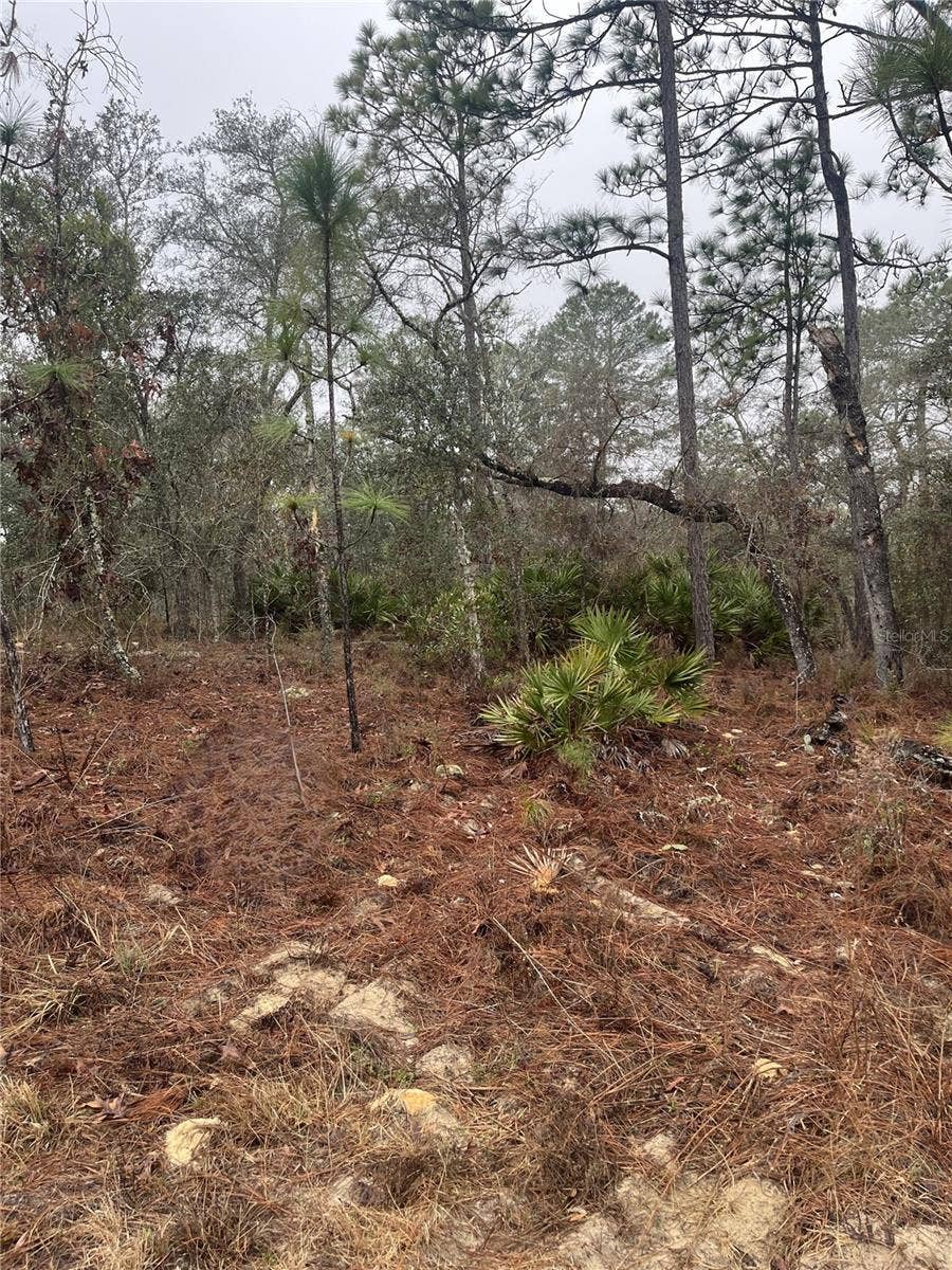 Property photo for 6692 N AIRMONT DRIVE, Dunnellon, FL
