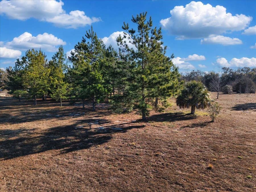 Property photo for NW 76TH AVENUE, Chiefland, FL