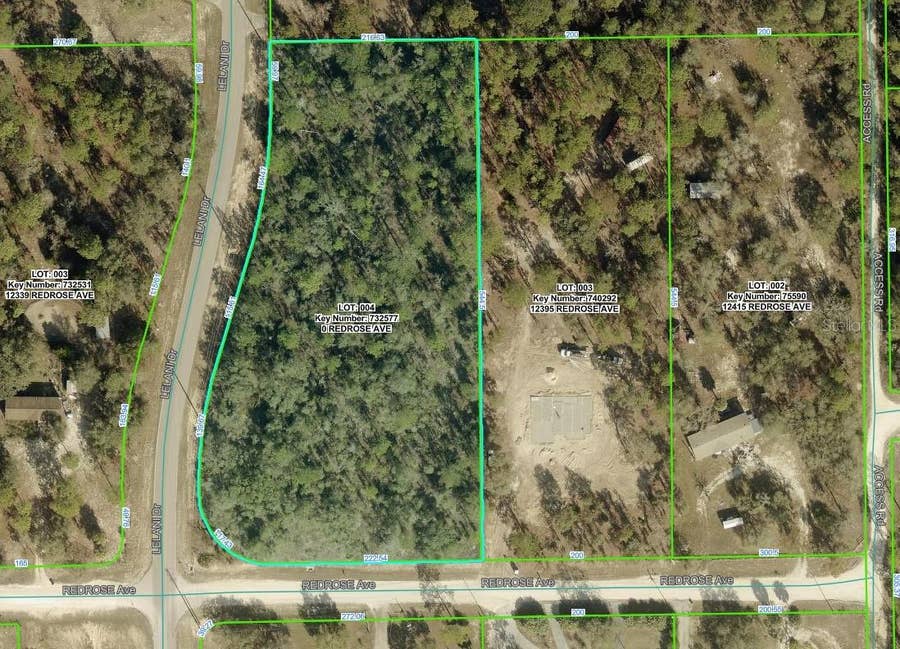 Property photo for 00 LELANI DRIVE, Weeki Wachee, FL
