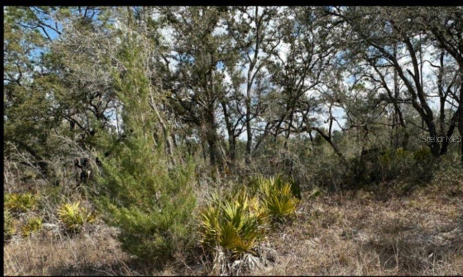 Property photo for 18308 PARAKEET ROAD, Brooksville, FL