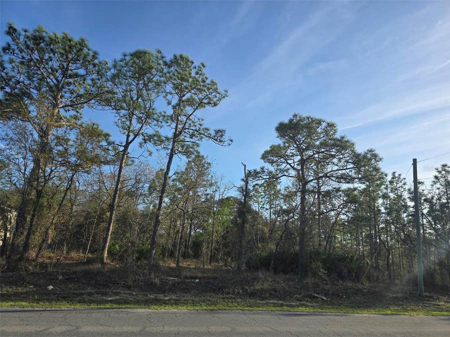 Property photo for 13070 QUIGLEY AVENUE, Weeki Wachee, FL