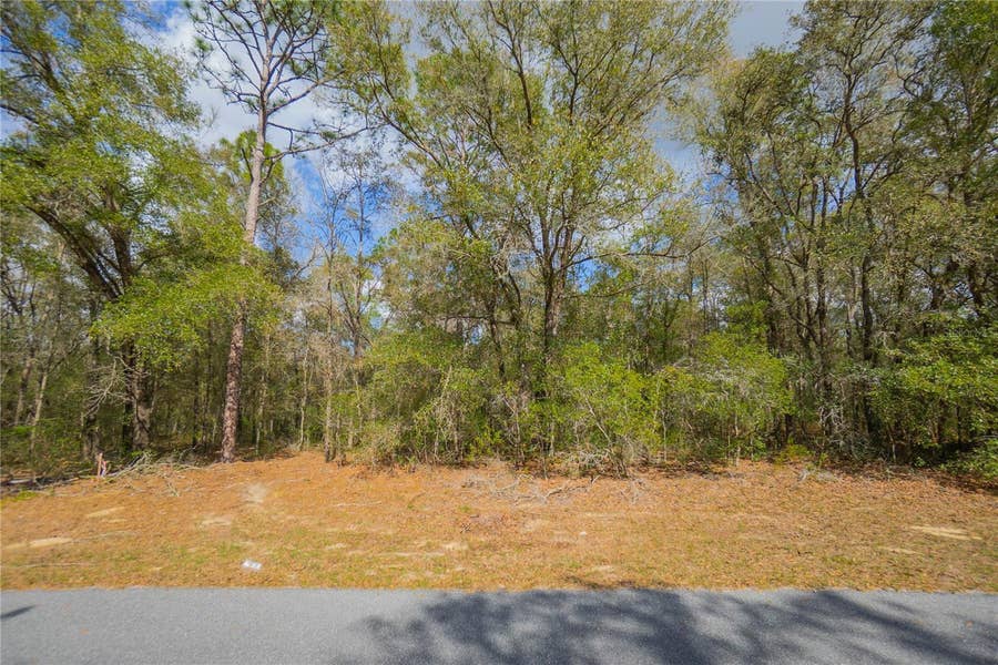 Property photo for 8743 N SANDREE DRIVE, Citrus Springs, FL