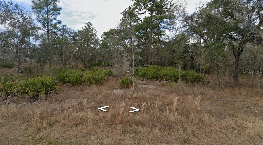 Property photo for 11353 QUILL AVENUE, Brooksville, FL