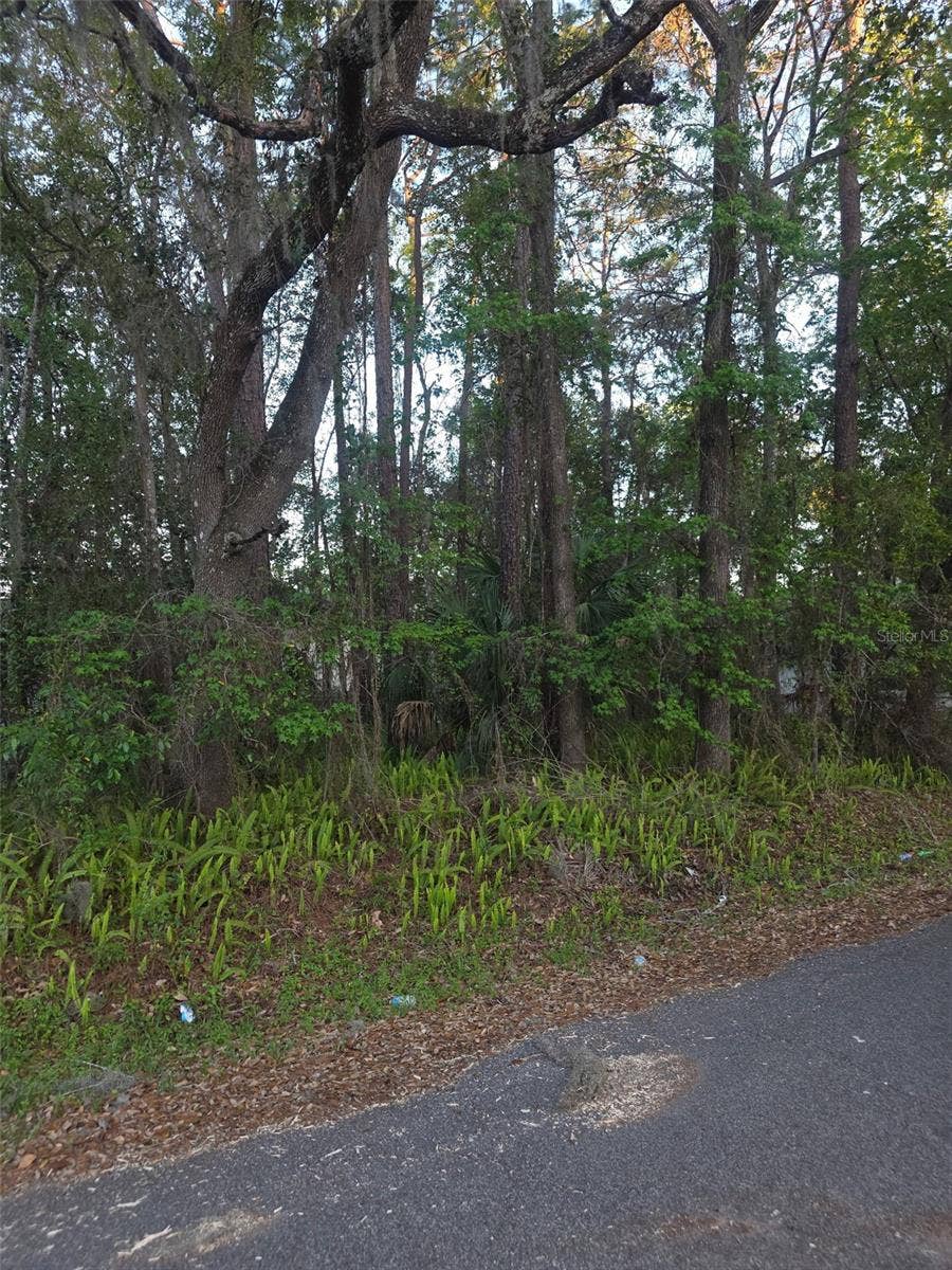Property photo for 0 BETHUNE STREET, Brooksville, FL