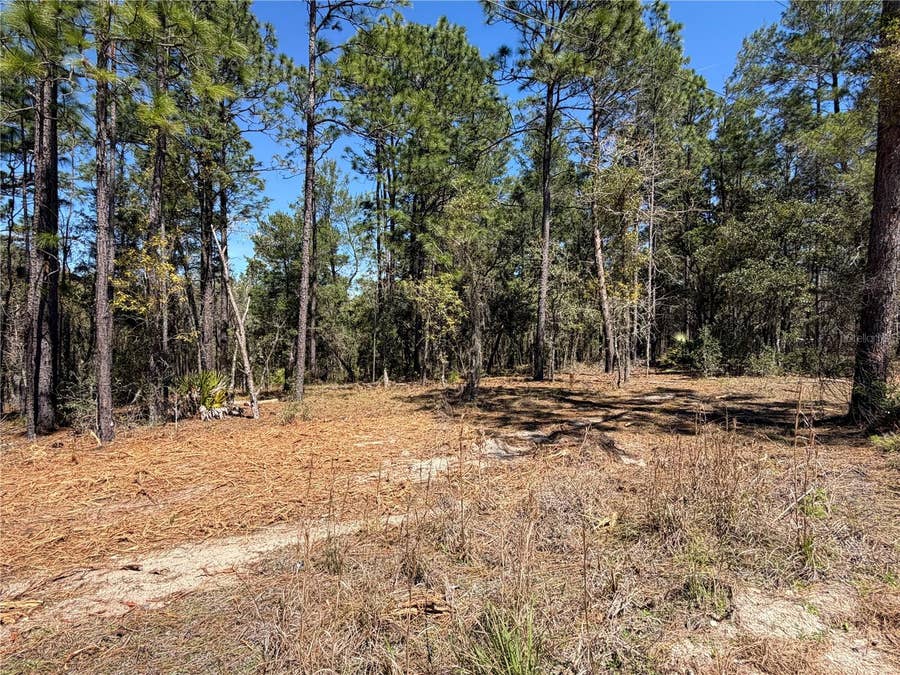 Property photo for 00000 SE 58TH PLACE, Morriston, FL