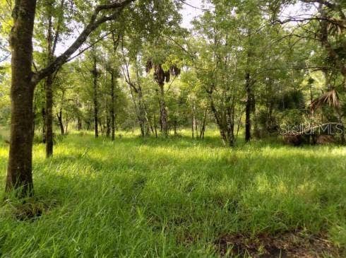 Property photo for 5001 WHIPPOORWILL DRIVE, Holiday, FL