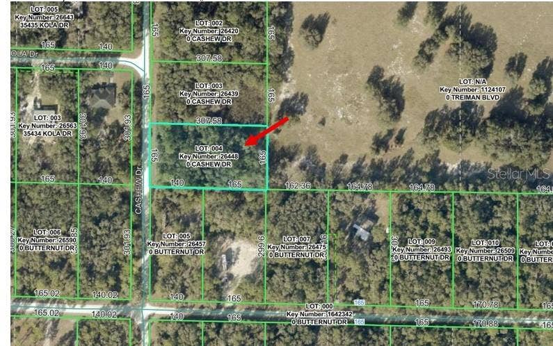 Property photo for 00 CASHEW DRIVE, Webster, FL