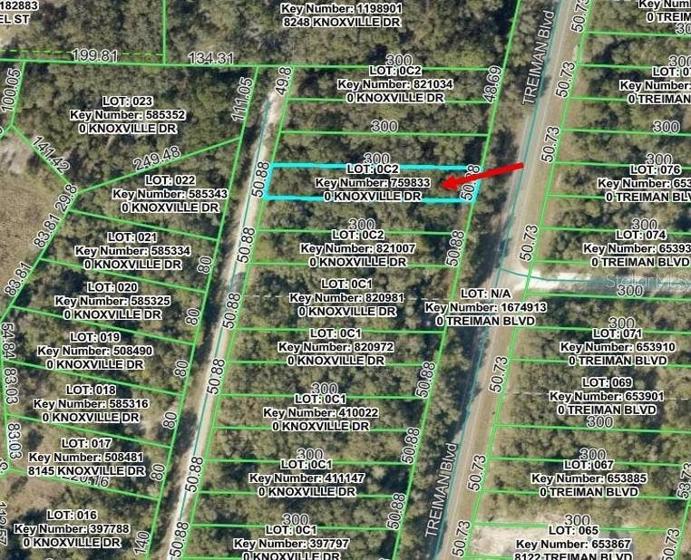 Property photo for KNOXVILLE DRIVE, Webster, FL