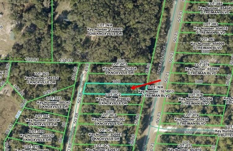Property photo for KNOXVILLE DRIVE, Webster, FL