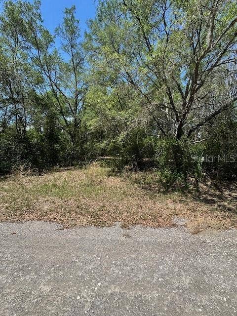 Property photo for 8681 N CATAPANE LOOP, Crystal River, FL