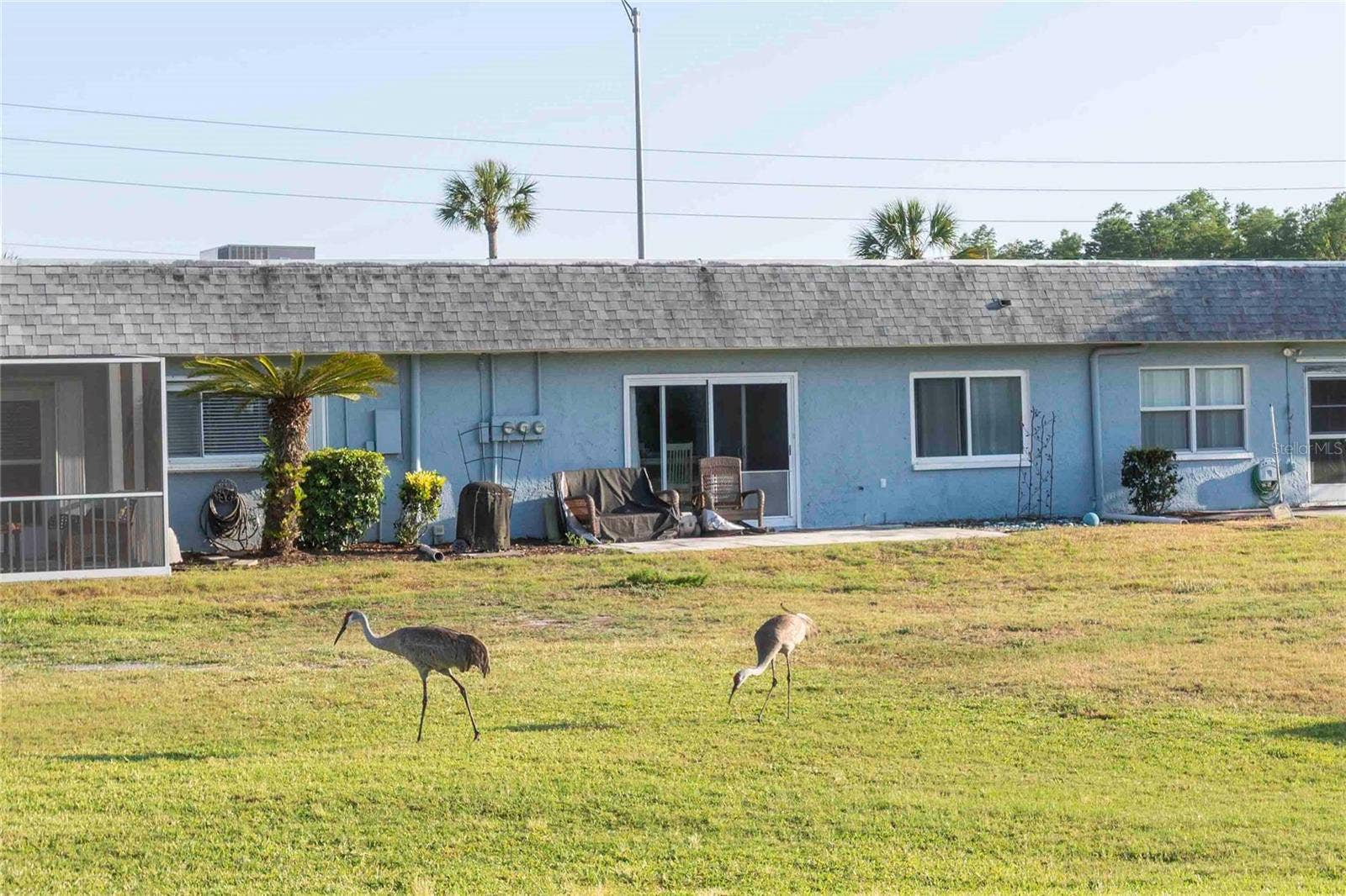 9639 GREENSKEEPER DRIVE, #9639, New Port Richey, FL 34655 9639 GREENSKEEPER DRIVE, #9639, New Port Richey, FL 34655