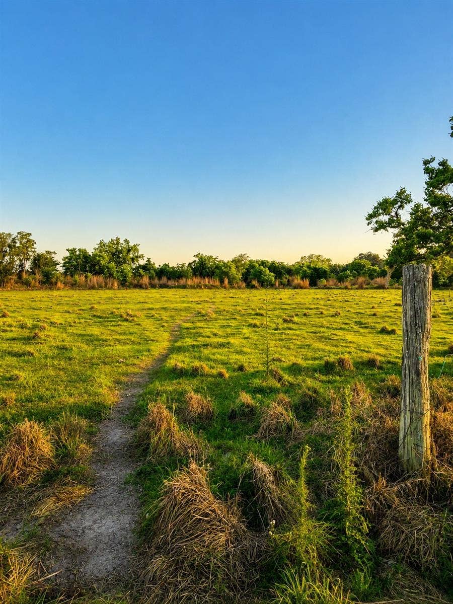 MONDON HILL ROAD, Brooksville, FL 34601 MONDON HILL ROAD, Brooksville, FL 34601
