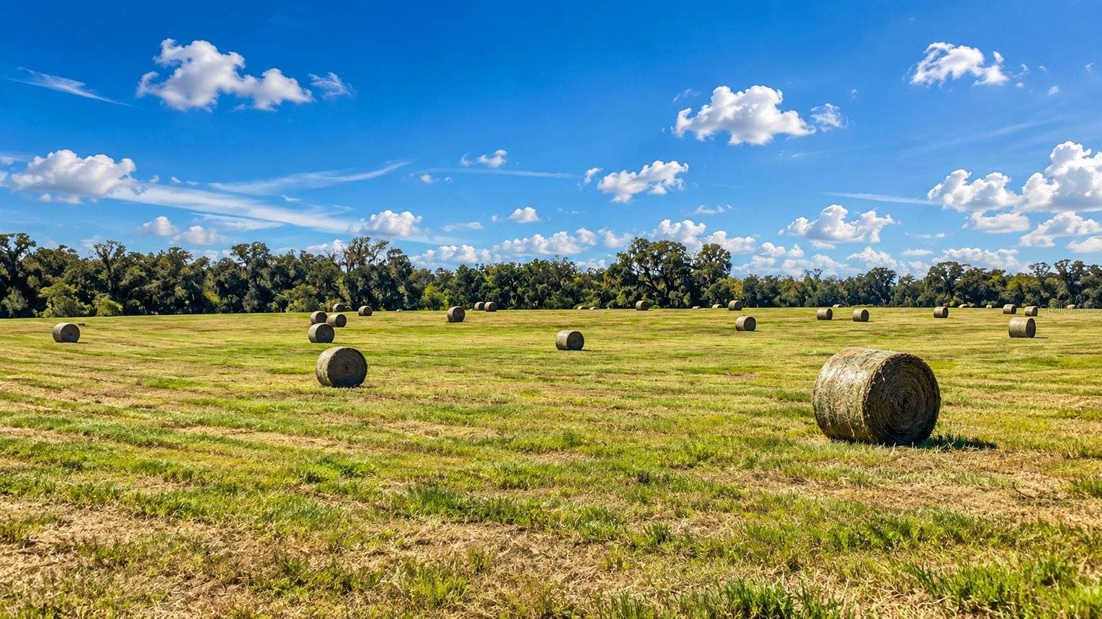 MONDON HILL ROAD, Brooksville, FL 34601 MONDON HILL ROAD, Brooksville, FL 34601
