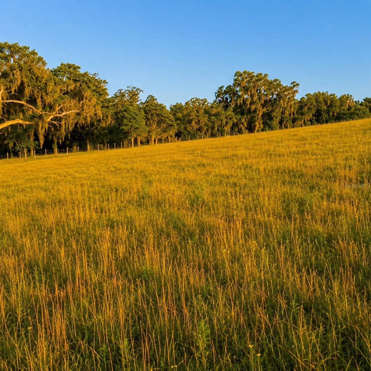 MONDON HILL ROAD, Brooksville, FL 34601 MONDON HILL ROAD, Brooksville, FL 34601