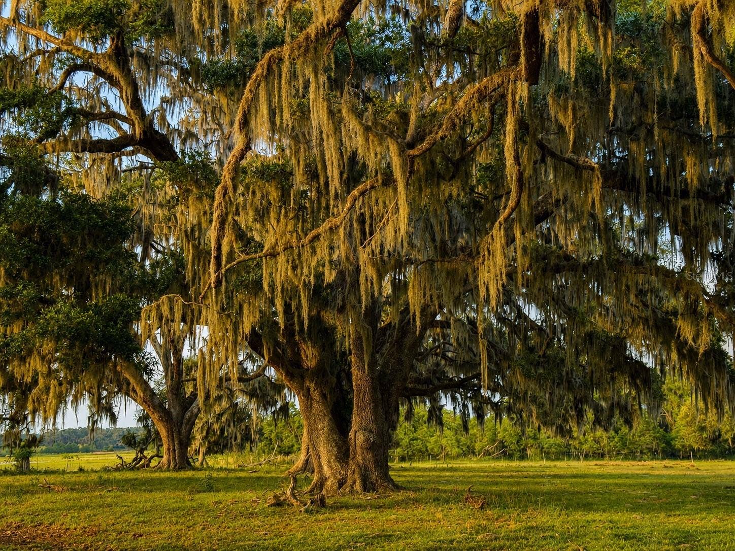 MONDON HILL ROAD, Brooksville, FL 34601 MONDON HILL ROAD, Brooksville, FL 34601