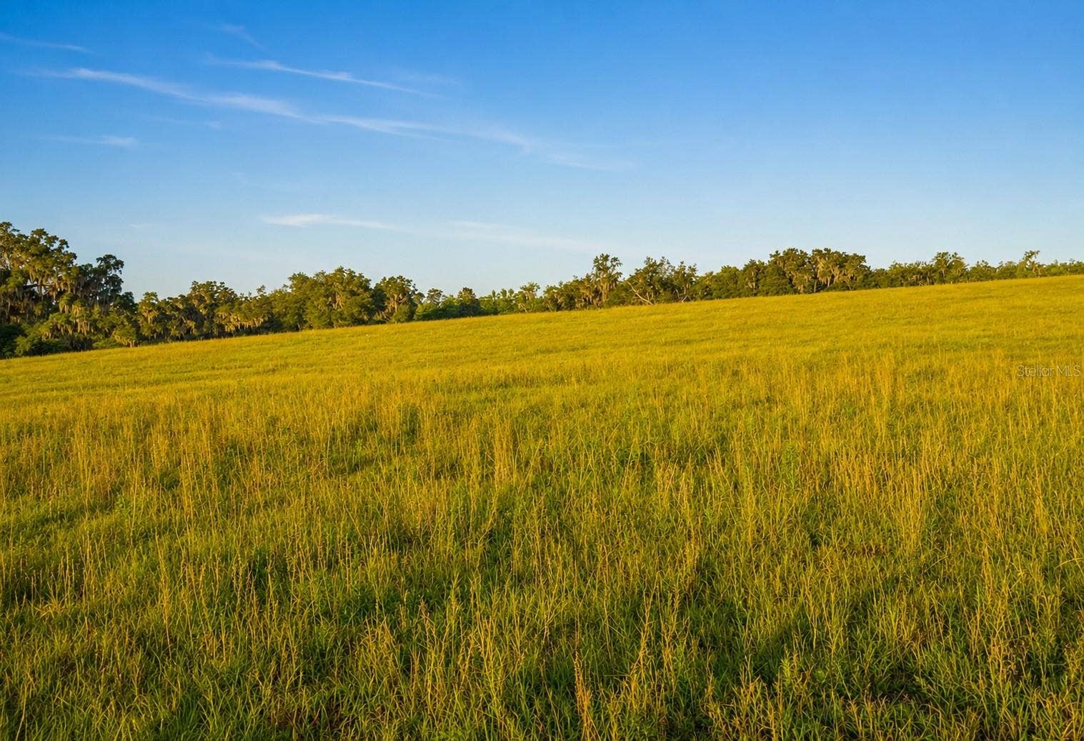 MONDON HILL ROAD, Brooksville, FL 34601 MONDON HILL ROAD, Brooksville, FL 34601