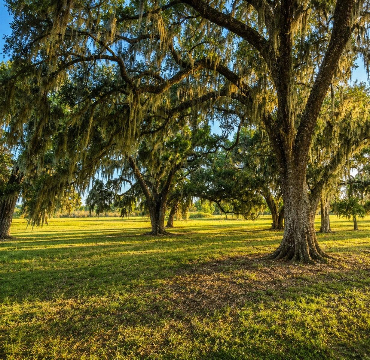MONDON HILL ROAD, Brooksville, FL 34601 MONDON HILL ROAD, Brooksville, FL 34601