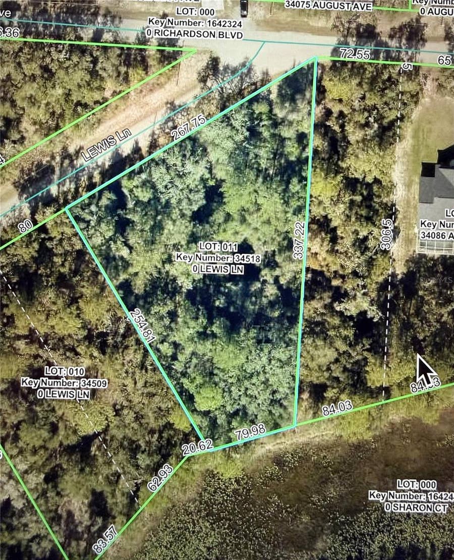 Property photo for LEWIS LANE, Webster, FL