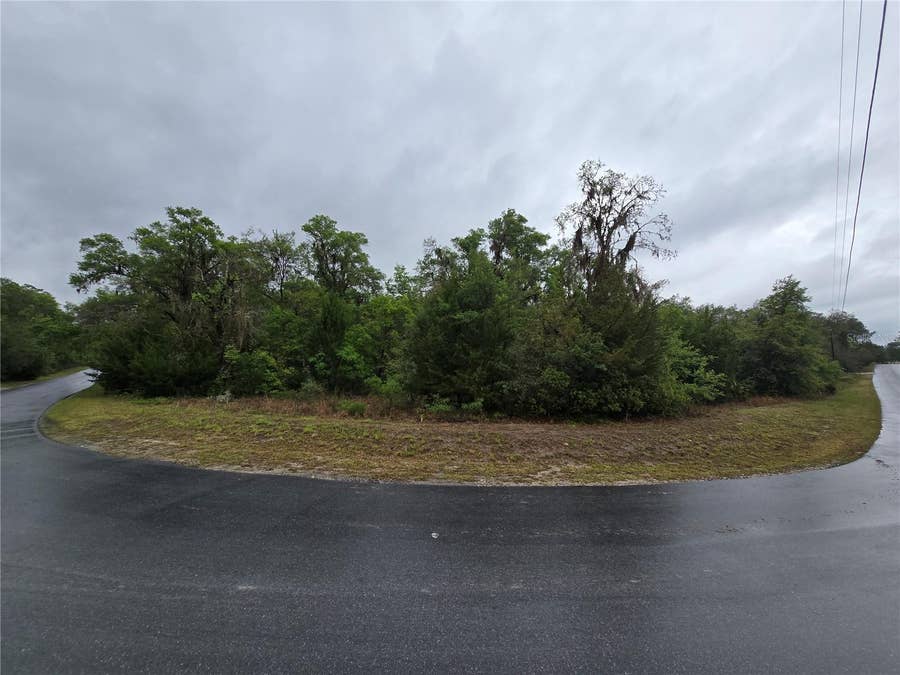 Property photo for 6727 N LINEN POINT, Dunnellon, FL