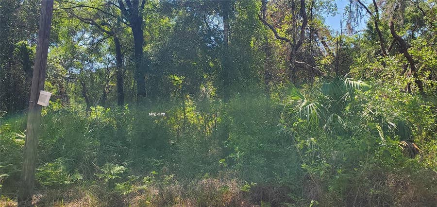 Property photo for DOAKS STREET, New Port Richey, FL
