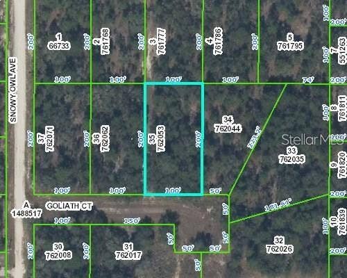 Property photo for 0 GOLIATH COURT, Weeki Wachee, FL