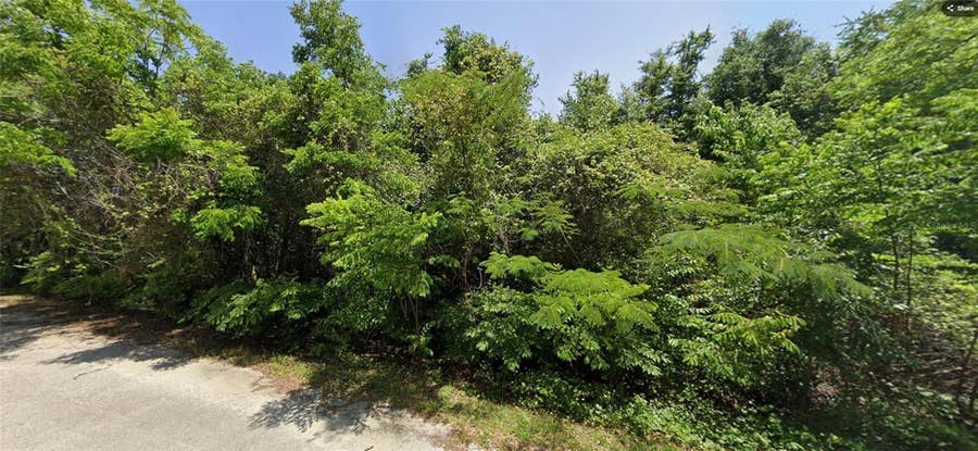 Property photo for 19 SE 146 LANE, Summerfield, FL