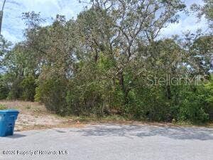 Property photo for 9159 LIBERATOR COURT, Spring Hill, FL