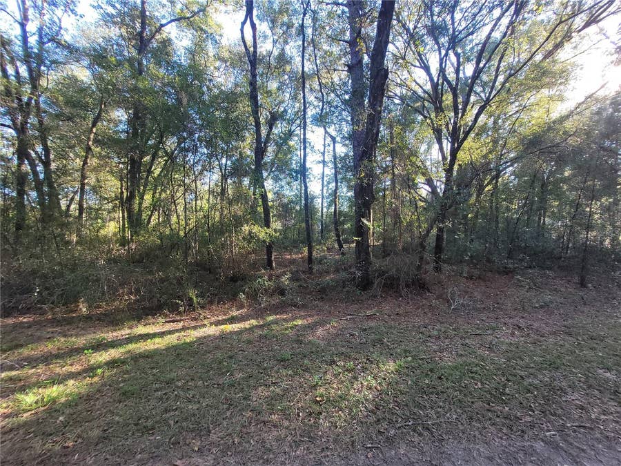 Property photo for 0 SW 22ND PLACE, Ocala, FL