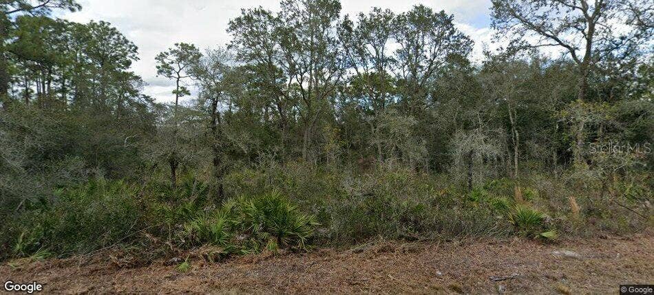 35023 PRIMROSE LANE, Webster, FL 33597 35023 PRIMROSE LANE, Webster, FL 33597