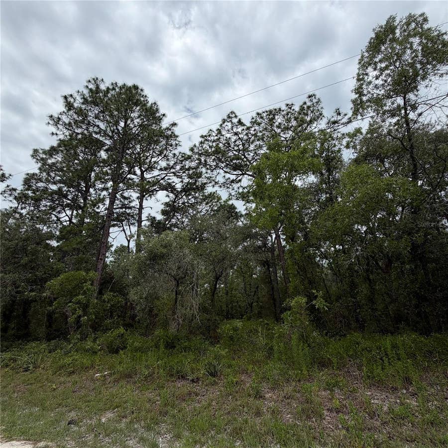 Property photo for 18011 NUTCRACKER ROAD, Weeki Wachee, FL