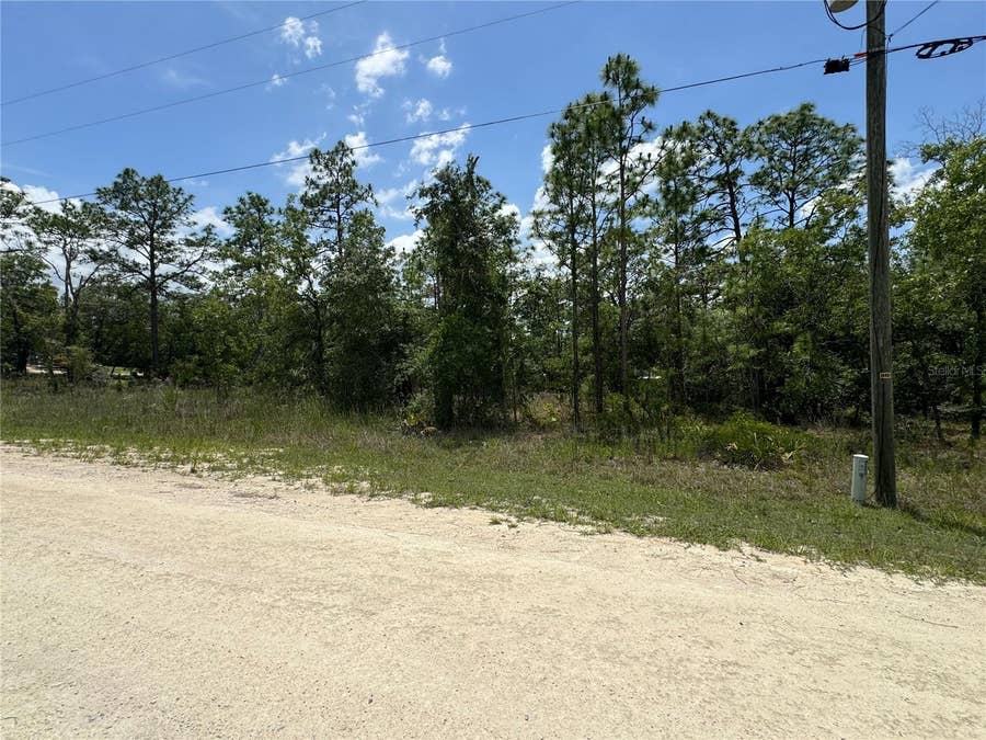 Property photo for 0 SCAUP DUCK AVENUE, Weeki Wachee, FL