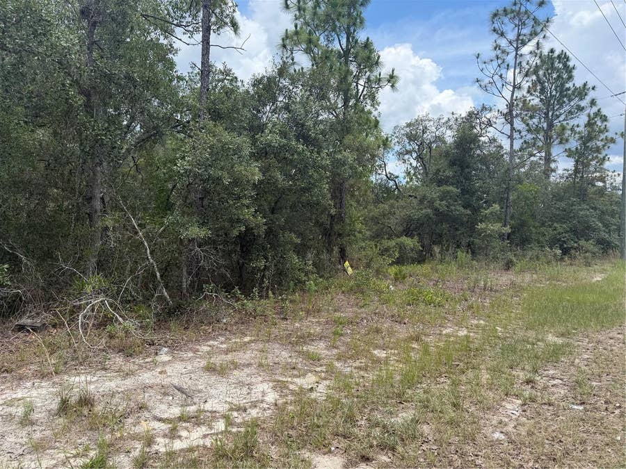 Property photo for 6215 S PREMIERE AVENUE, Homosassa, FL