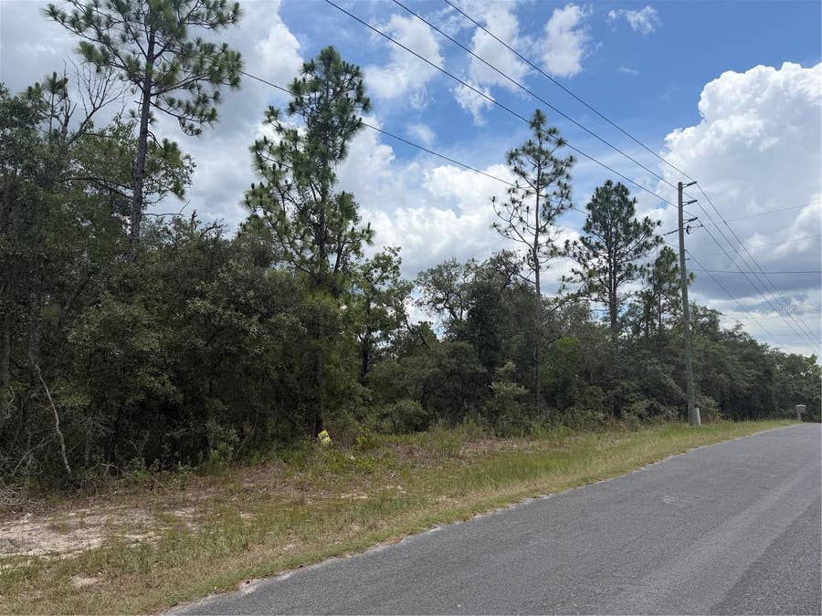 Property photo for 6215 S PREMIERE AVENUE, Homosassa, FL