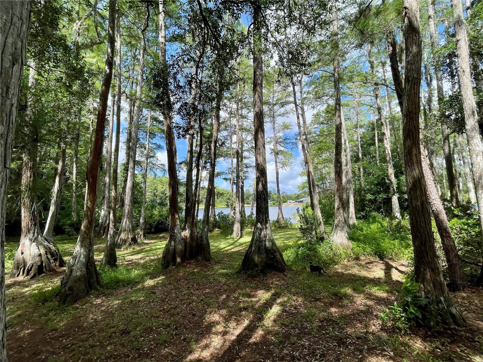8270 SYCAMORE DRIVE, New Port Richey, FL 34654 8270 SYCAMORE DRIVE, New Port Richey, FL 34654