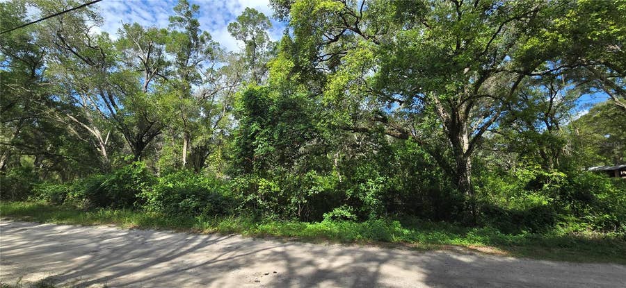 Property photo for 15621 DAYBREEZE DRIVE, Spring Hill, FL