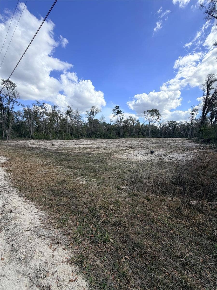 Property photo for 163 NE 159TH AVENUE, Old Town, FL