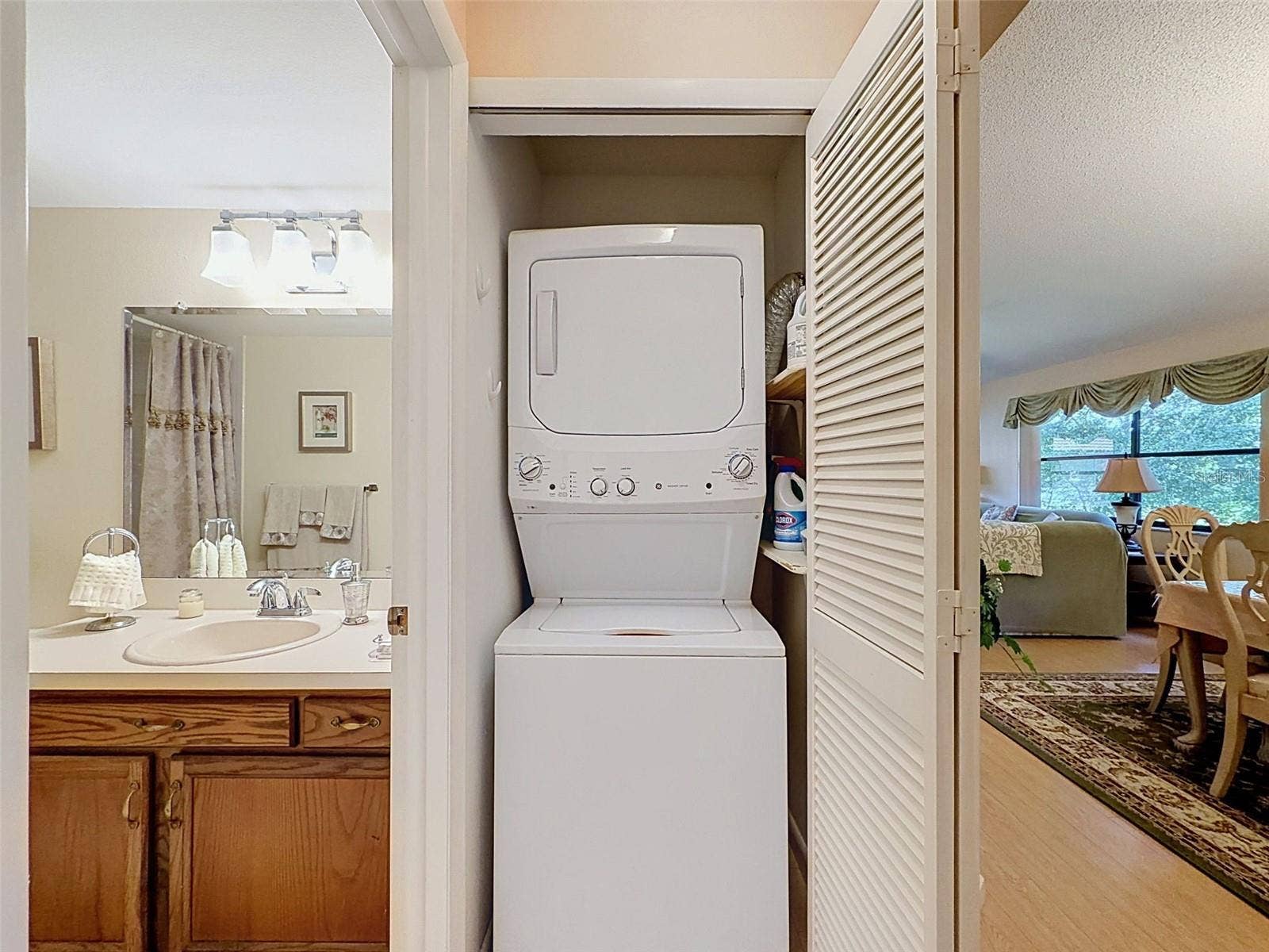 1309 HAMMOCK PINE BOULEVARD, #1309, Clearwater, FL 33761 Laundry Closet