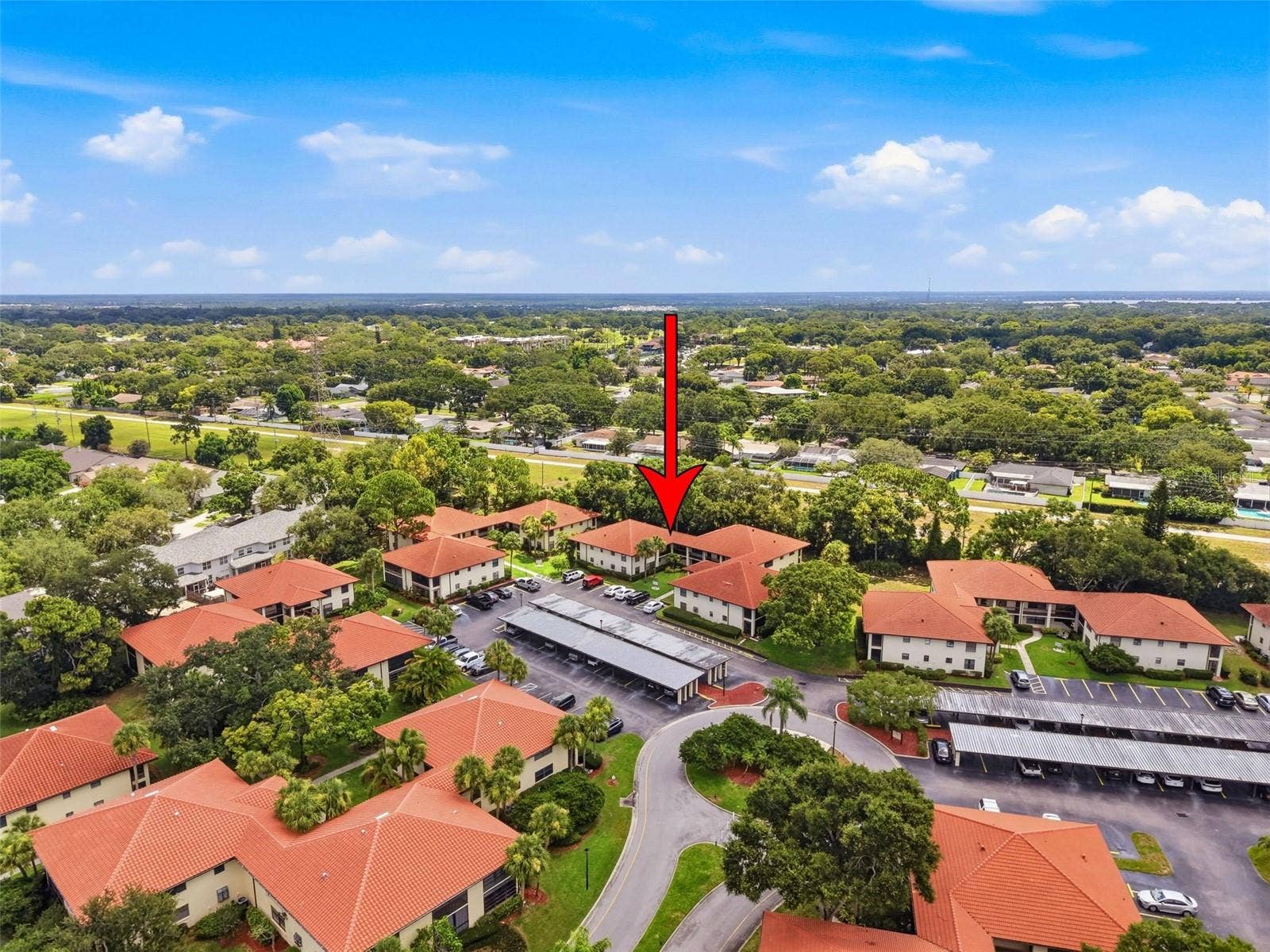 1309 HAMMOCK PINE BOULEVARD, #1309, Clearwater, FL 33761 1309 HAMMOCK PINE BOULEVARD, #1309, Clearwater, FL 33761