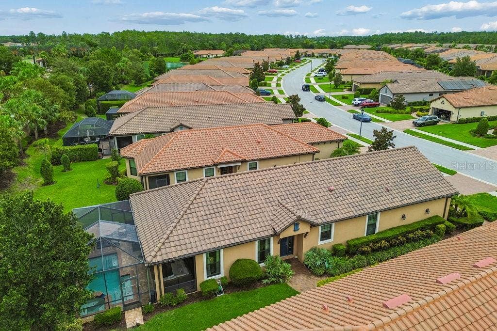 11503 CALLISIA DRIVE, Odessa, FL 33556 11503 CALLISIA DRIVE, Odessa, FL 33556