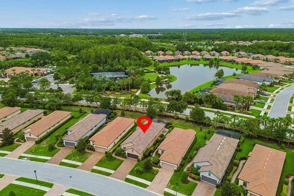 11503 CALLISIA DRIVE, Odessa, FL 33556 11503 CALLISIA DRIVE, Odessa, FL 33556
