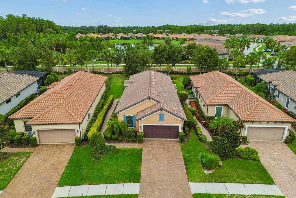 11503 CALLISIA DRIVE, Odessa, FL 33556 11503 CALLISIA DRIVE, Odessa, FL 33556