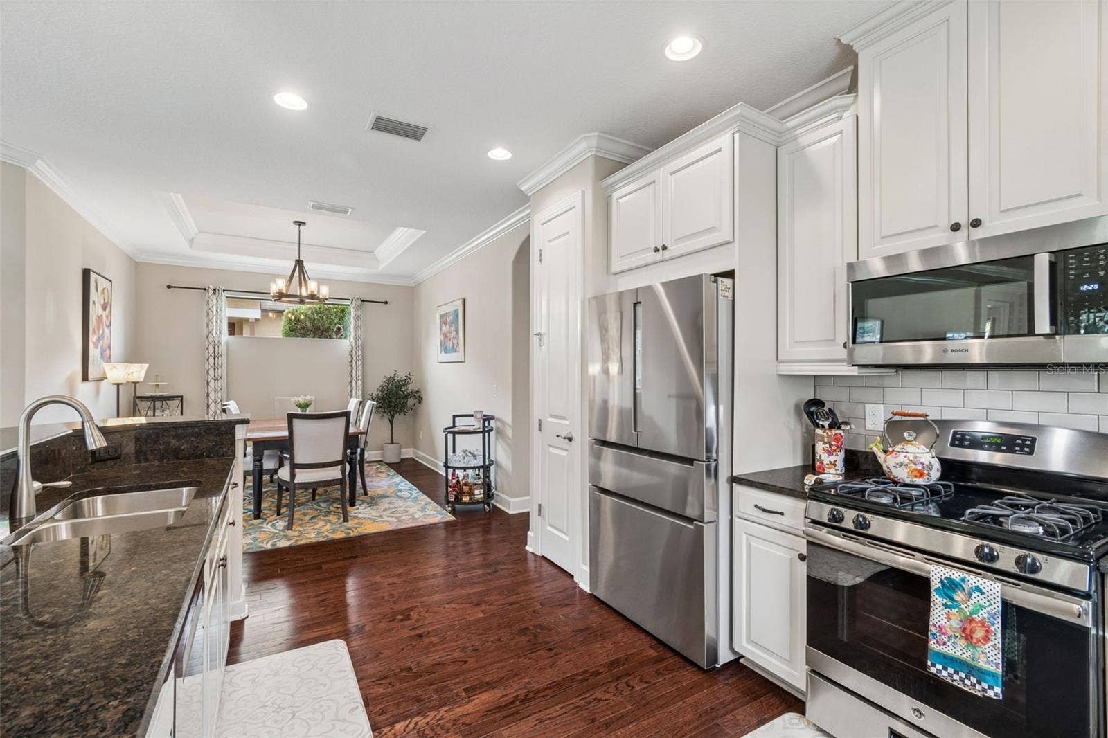 11503 CALLISIA DRIVE, Odessa, FL 33556 11503 CALLISIA DRIVE, Odessa, FL 33556