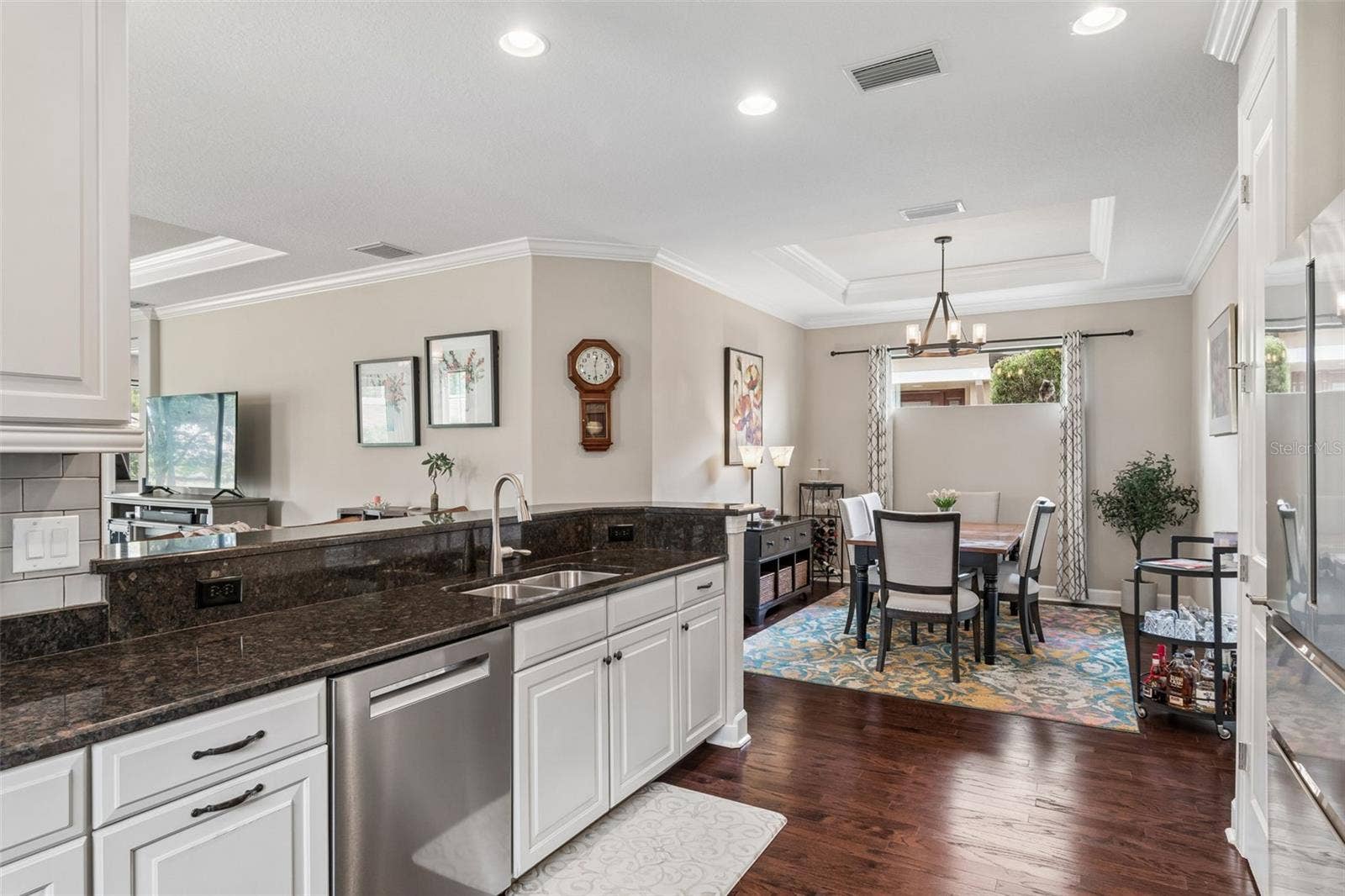 11503 CALLISIA DRIVE, Odessa, FL 33556 Designed with a modern flare