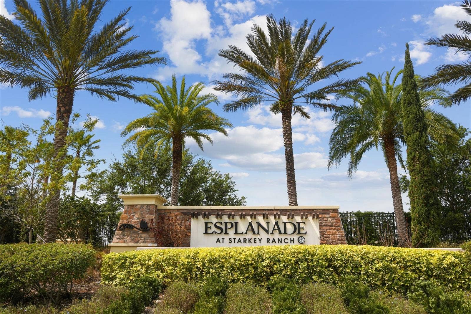11503 CALLISIA DRIVE, Odessa, FL 33556 11503 CALLISIA DRIVE, Odessa, FL 33556