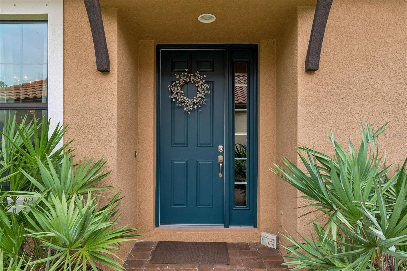 11503 CALLISIA DRIVE, Odessa, FL 33556 Come inside!