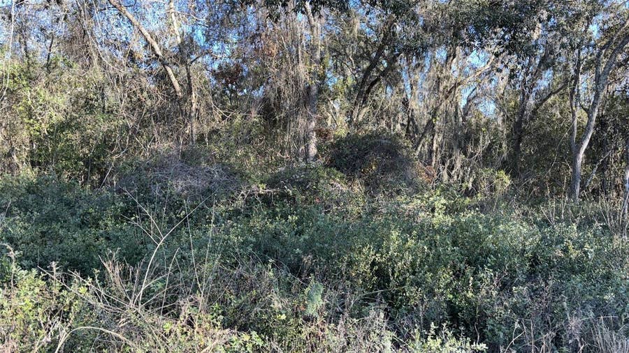 Property photo for 0 BOUNTY/BARRETT, New Port Richey, FL