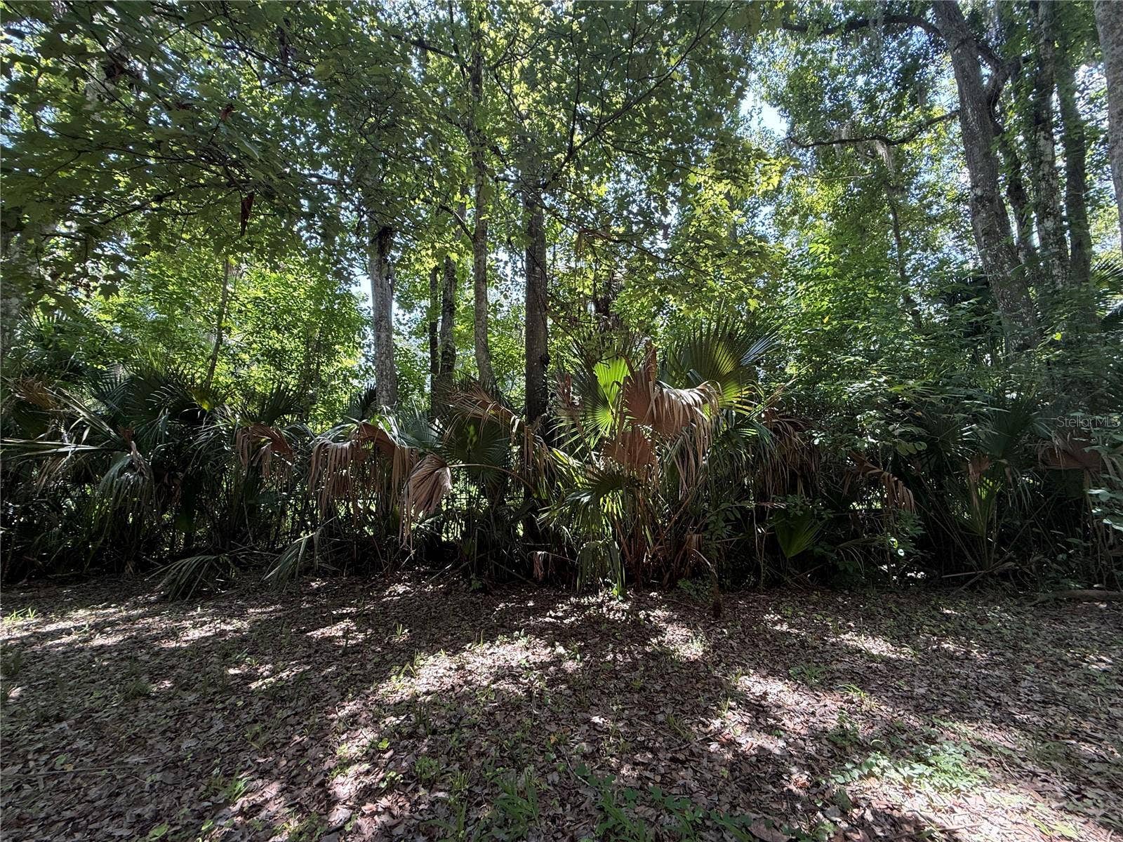 23946 INDIGO ROAD, Astor, FL 32102